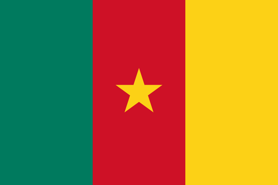 Flag of Cameroon