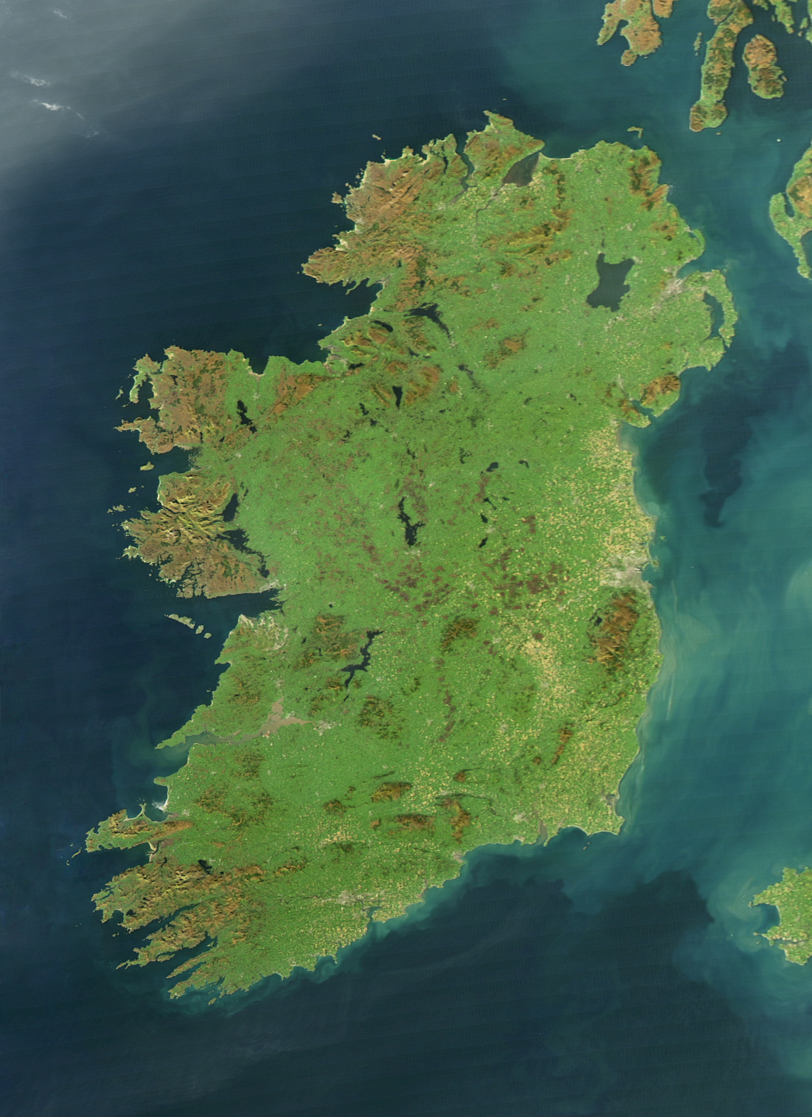 Flag of Ireland