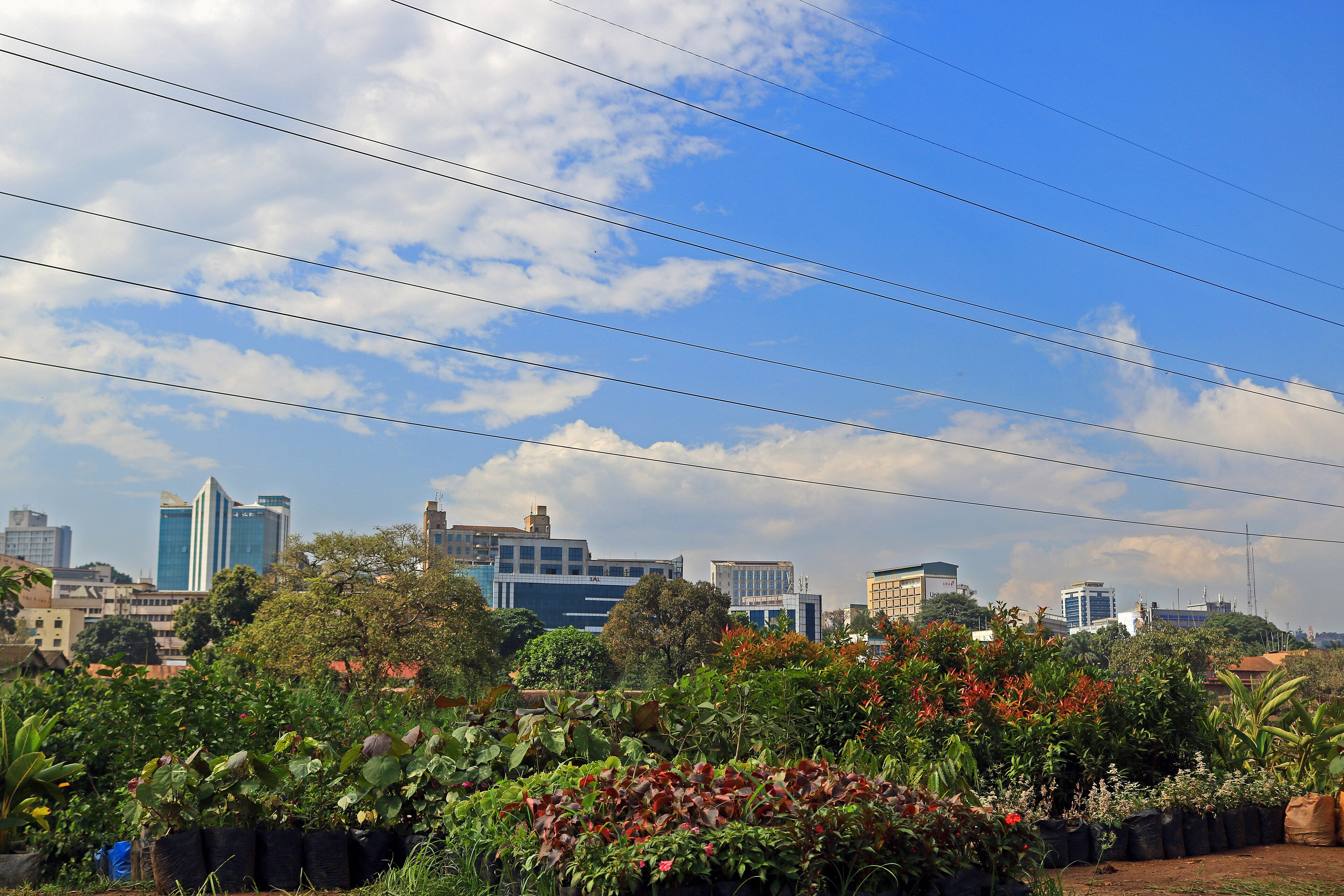 Kampala landscape