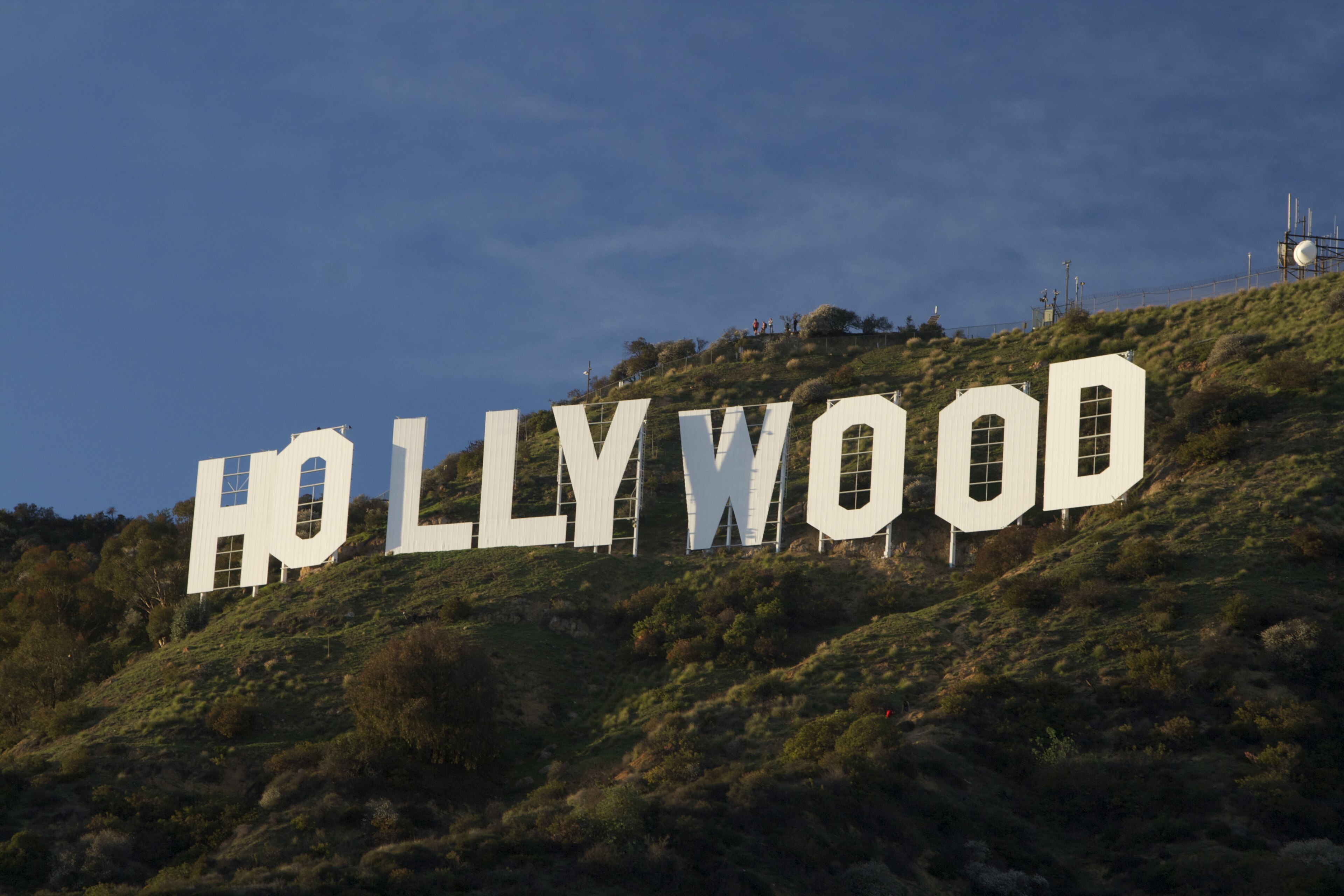 Los Angeles landscape
