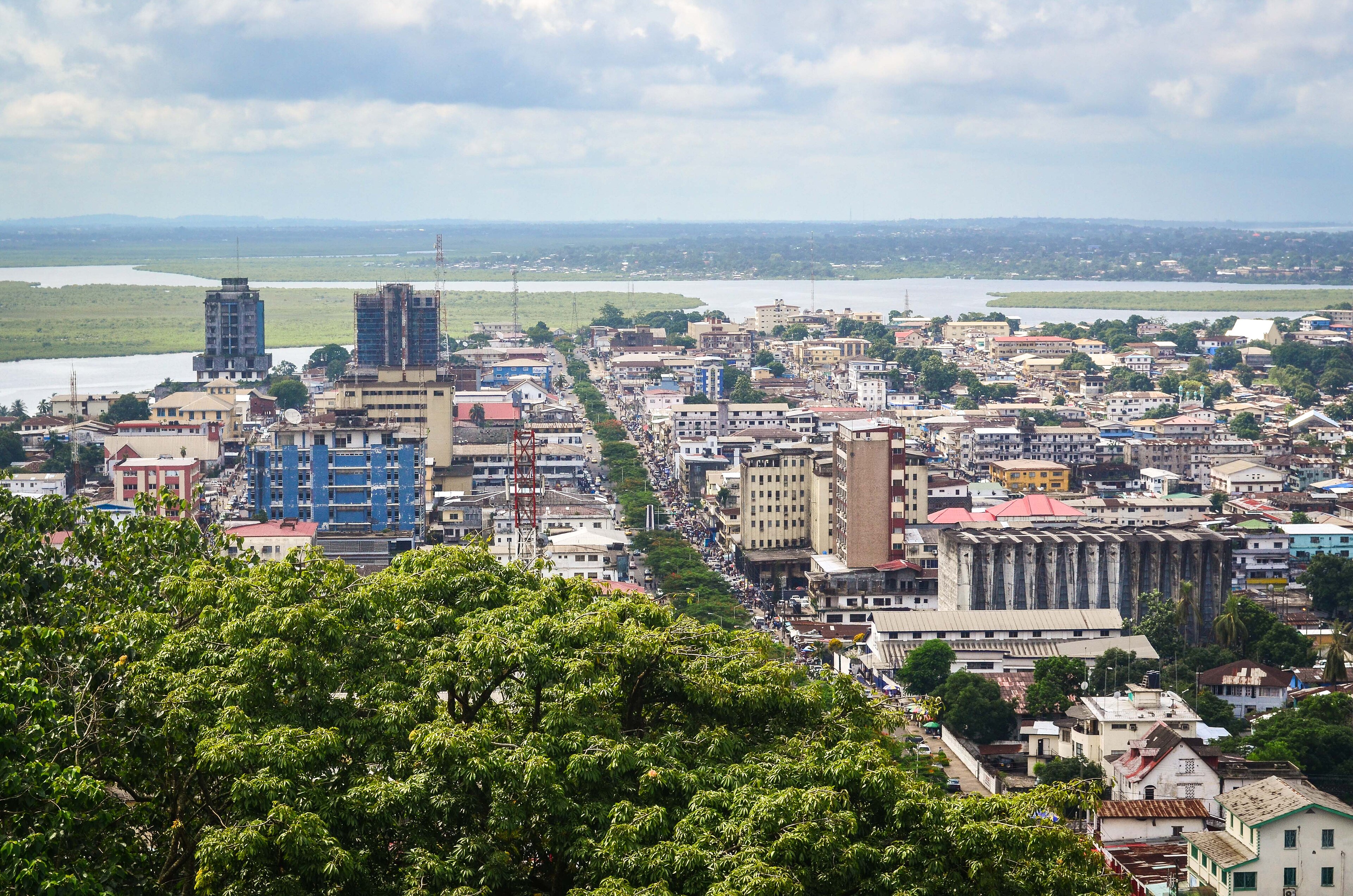 Monrovia landscape