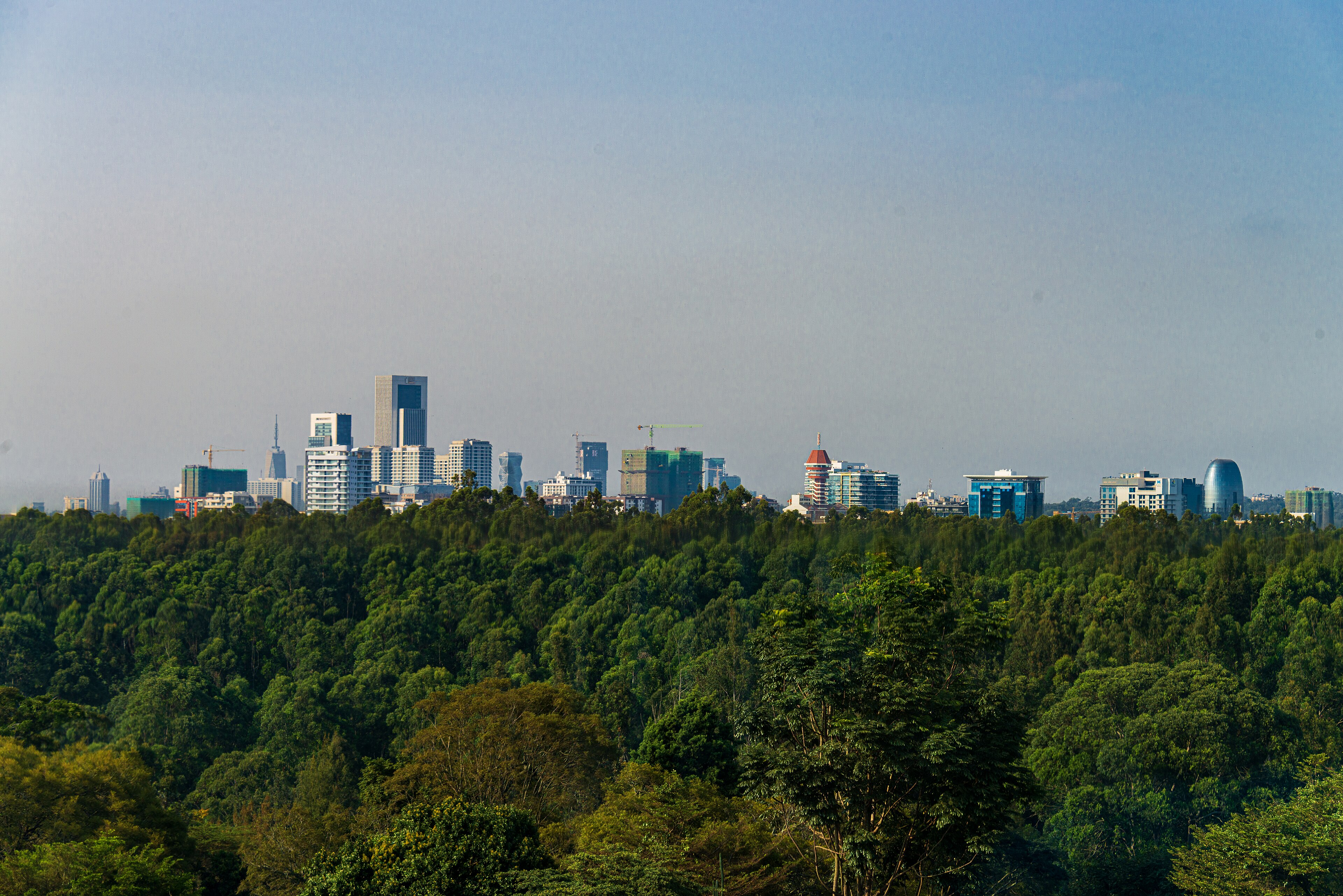 Nairobi landscape