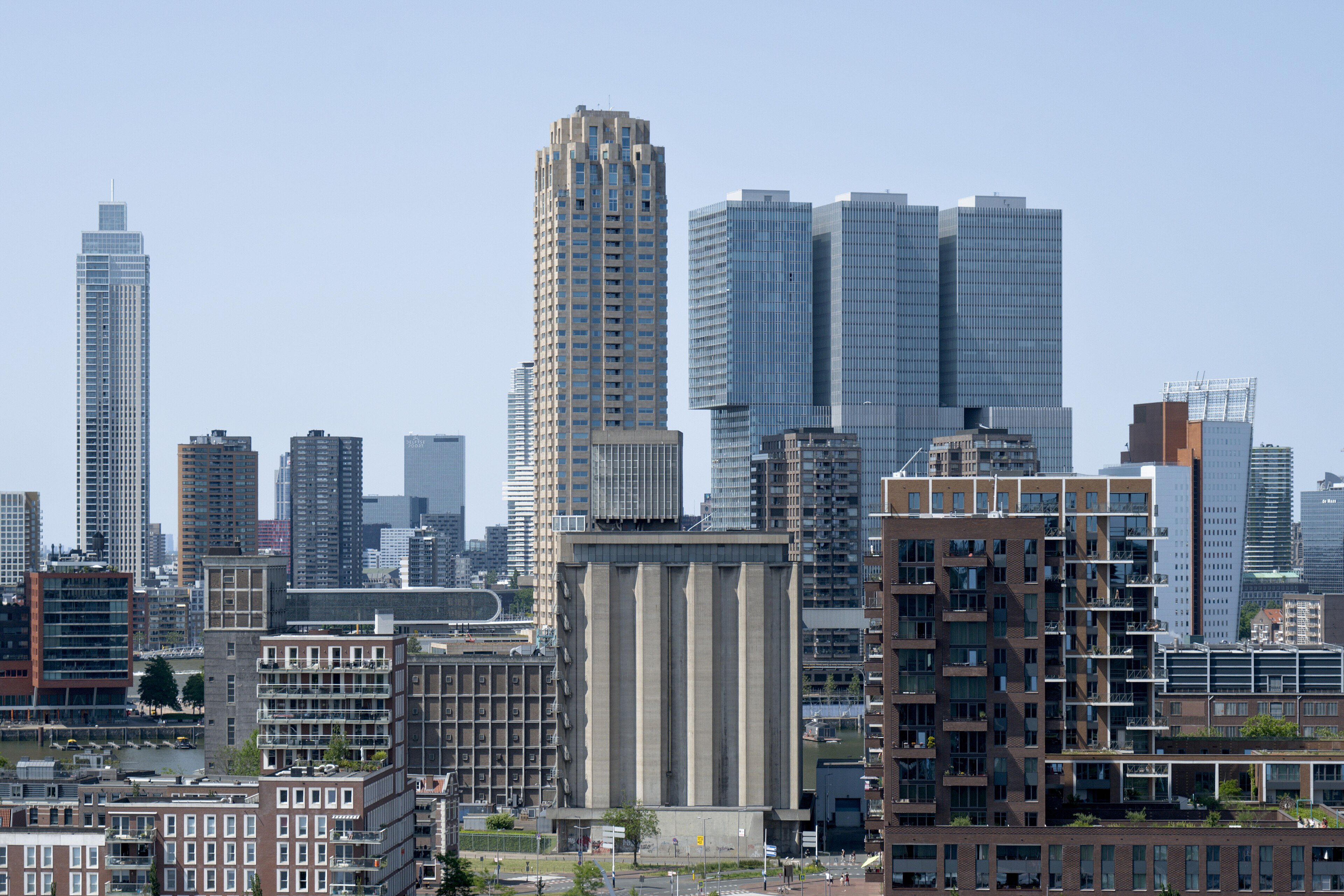 Rotterdam landscape