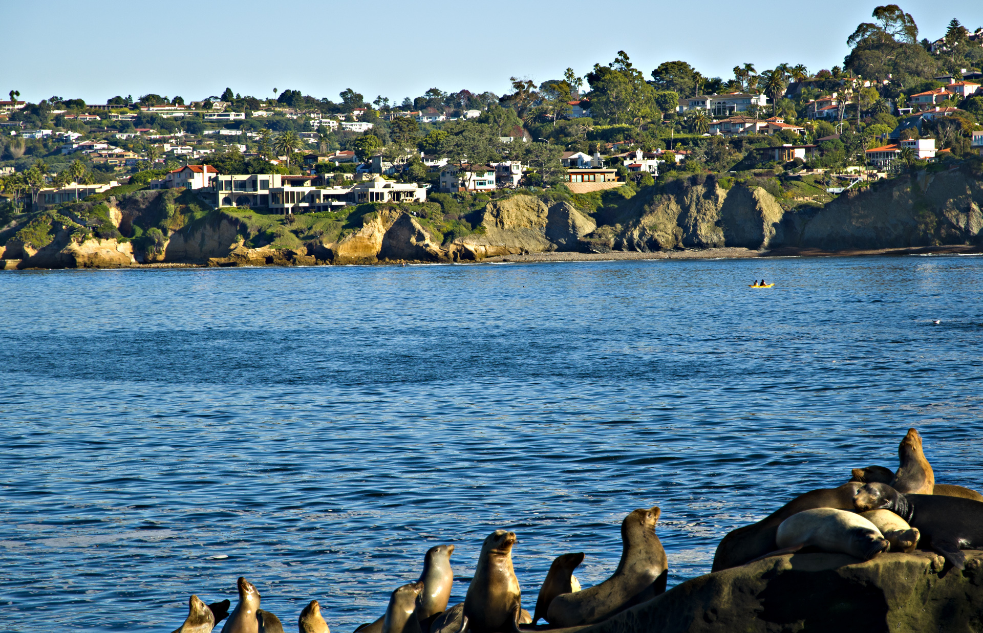 San Diego landscape