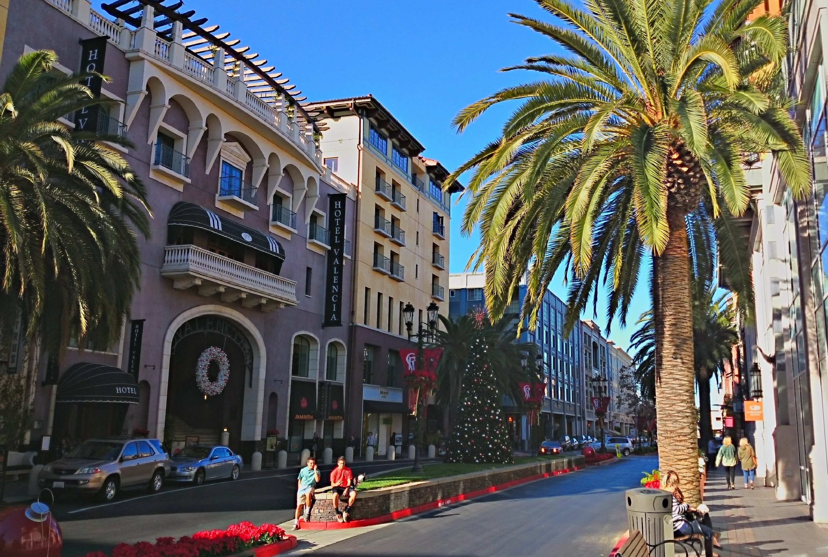 San Jose landscape