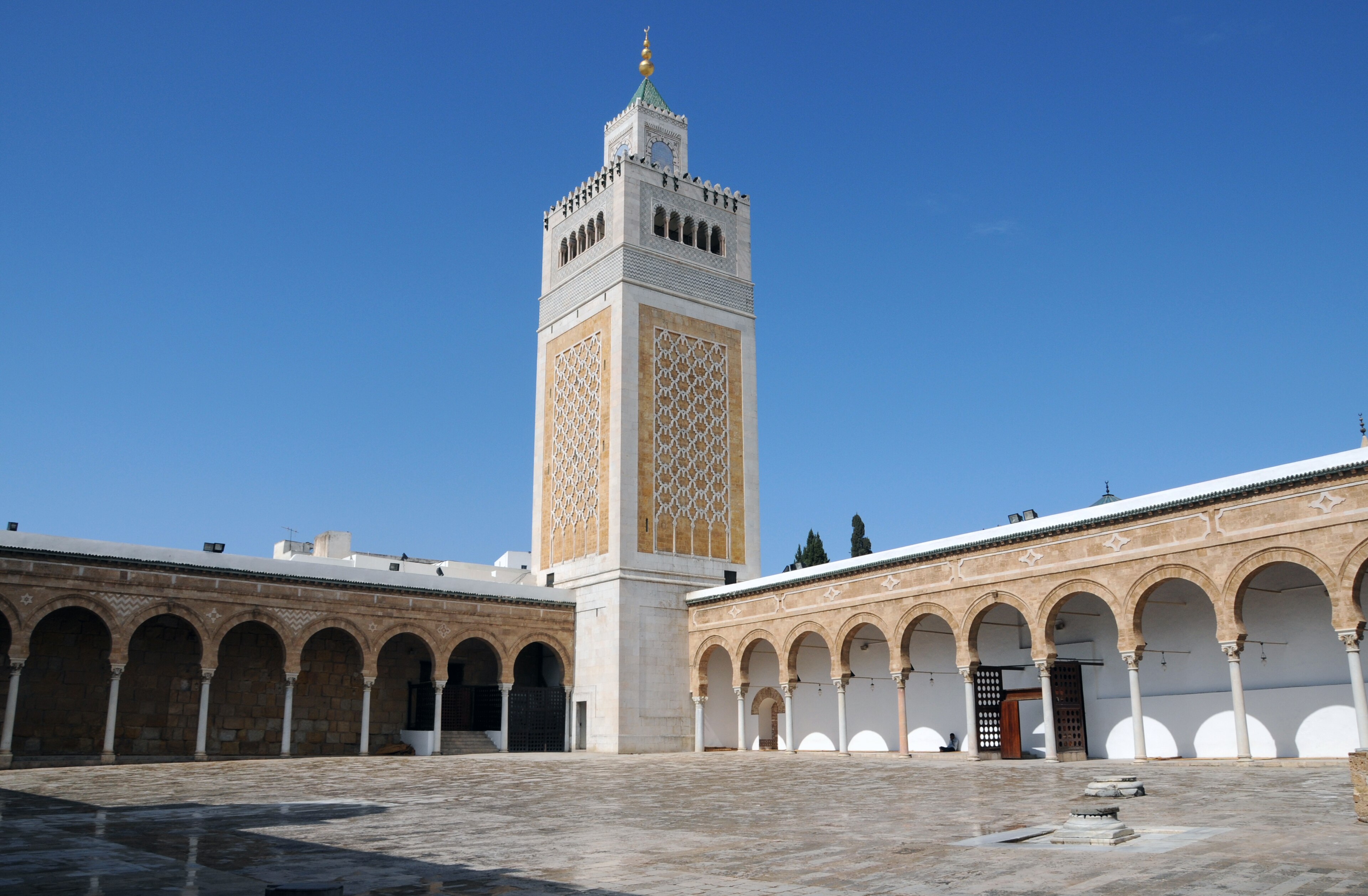 Tunis landscape